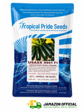 Tropical Pride Seeds USASX Hybrid Dark Green Squash